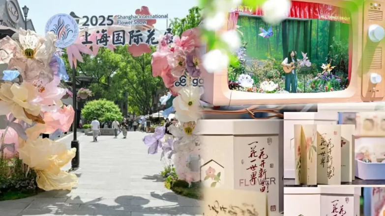 Shanghai’s Autumn Countryside Escape: A Blend of Culture, Camping, and Fresh Flavors