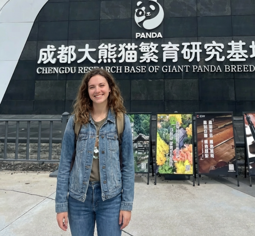 Chengdu Research Base of Giant Panda Breeding – Your Complete Guide to Visiting China’s Premier Panda Sanctuary