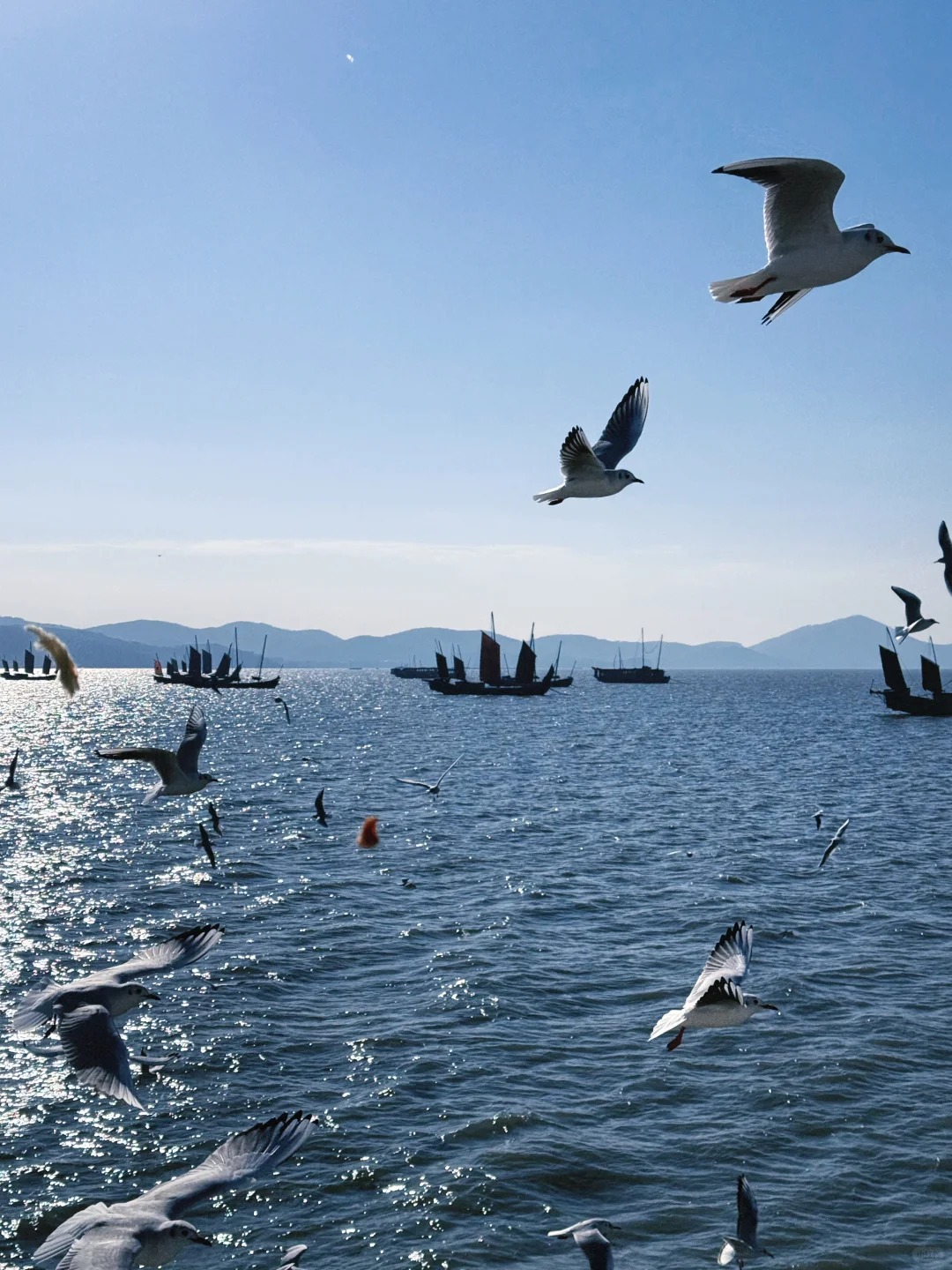 Yuantouzhu Wuxi Travel Guide: Best Spot for Sunset Over Lake Tai & Scenic Views